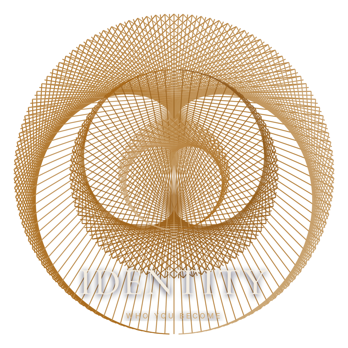 Identity collection cover